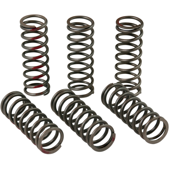 Pro Circuit Clutch Springs CSH13450-CS