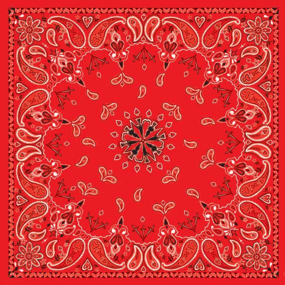 ZAN Bandanna Red Paisley