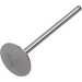 Del West Intake Valve DWCRF250RIV10ND