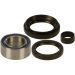 ALL BALLS Wheel Bearing & Seal Kit