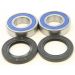 ALL BALLS Wheel Bearing & Seal Kit