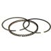 HASTINGS MFG Pist Rings 1340evo 1200xl Cast .005" Oversize