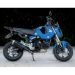 RACING BROTHERS Moto Shicane Edge 100n Grom