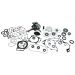 VERTEX Complete Engine Rebuild Kit Hon