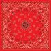 ZAN Bandanna Red Paisley