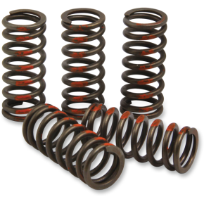 Clutch Springs CST13085