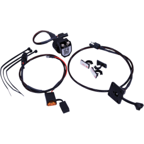 12V Outlet Charger with Harness TS10012VP