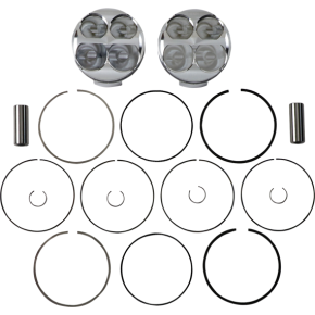 Piston Kit 306373