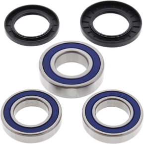 ALL BALLS Wheel Bearing - Kit - 25-1039