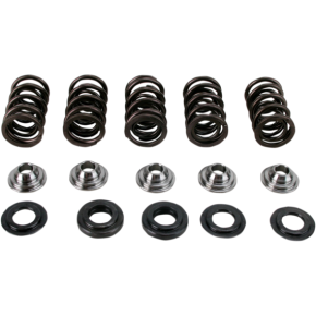 Valve Spring Kit SKYFM660S2