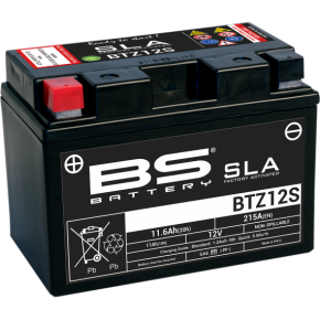 Battery - BTZ12S (YTZ) 300637-1