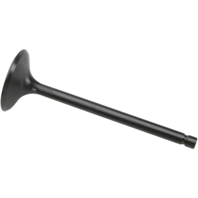 Intake Valve 80-80060