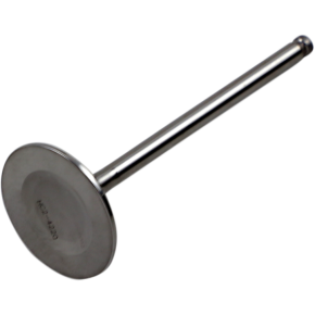 Intake Valve DWYFZ450R21IV03