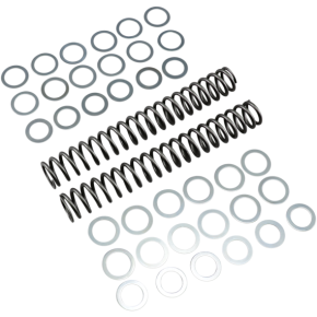 Race Tech Fork Springs - 1.00 kg/mm