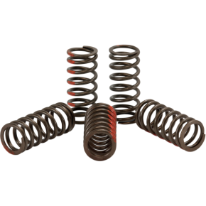 Pro Circuit Clutch Springs CST09250