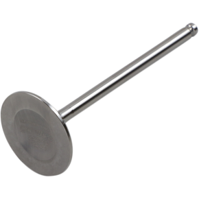 Intake Valve DWYFZ450R22IV03