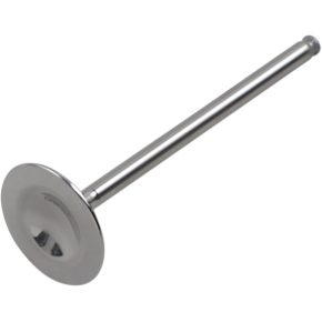 Intake Valve DW-CRF150RIV07