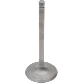 Intake Valve GG-1029-IN