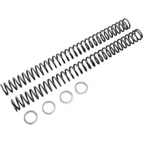 Race Tech Fork Springs - 0.46 kg/mm