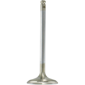 Intake Valve 80-80215H