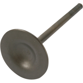 Intake Valve GG-1048-IN