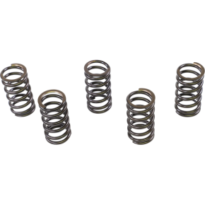 Intake/Exhaust Valve Springs PSIMX2004