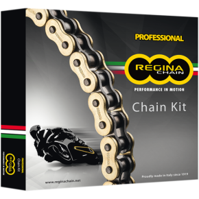 Regina Chain and Sprocket Kit - Kawasaki - EX 300 Ninja - '13-'17 5ZRT/106KKA025