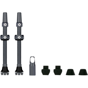 Tubeless Valve Stems - Gray 20547