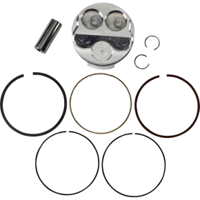 Piston Kit 247956