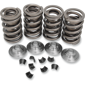 Valve Spring Kit - Big Twin 20-2110