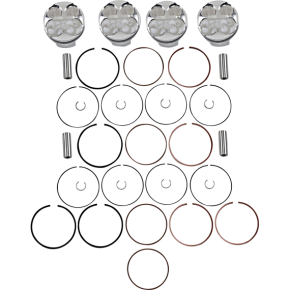 Piston Kit 255720