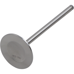 Intake Valve DW-KX250F-IV09