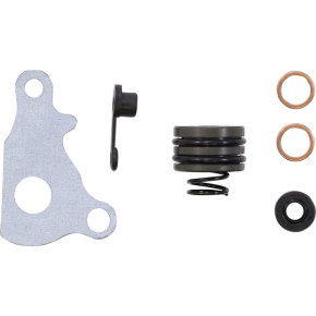 Slave Cylinder Rebuild Kit 0950-0987