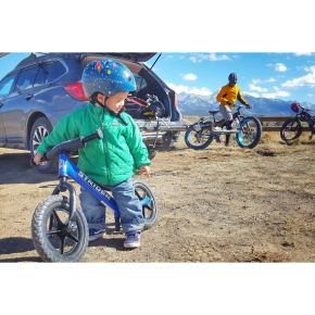 Strider 12" Sport Balance Bike - Blue ST-S4BL