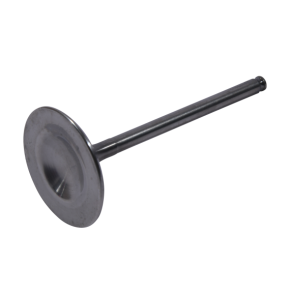 HOT CAMS Intake Valve Titanium