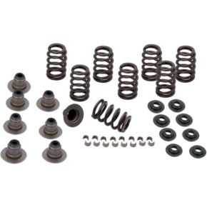 ROCKET PERFORMANCE GARAGE LLC Spring Kit .600 Lift M8 Models