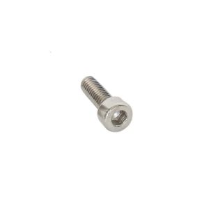 SYSTEM 3 Center Cap Screw (2 Pcs)