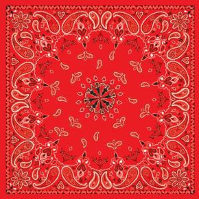 ZAN Bandanna Red Paisley